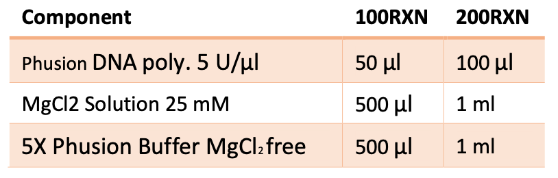 Phusion DNA polymerase